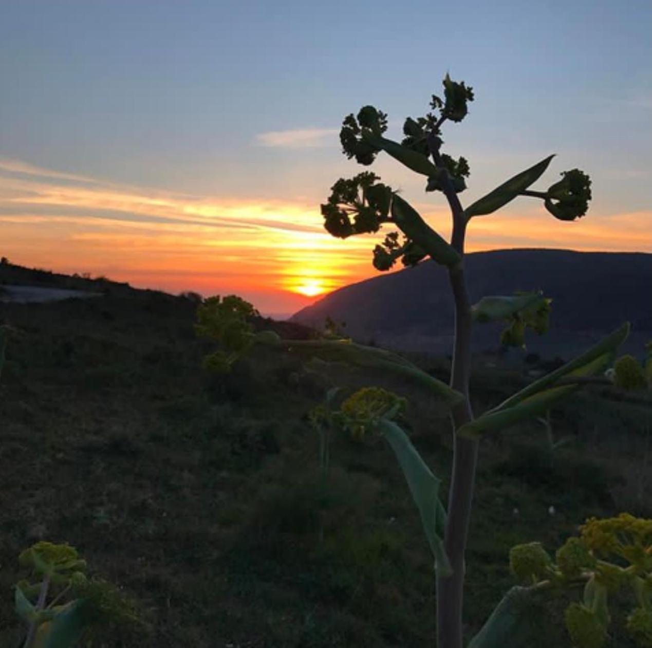 Bed and Breakfast In Sicilia Da Ciro Vita Экстерьер фото